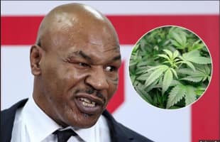 mike tyson usava un pene finto per superare i controlli antidoping. lo  riempiva con l'urina di - Sport