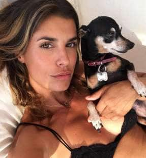 Elisabetta Canalis prepara dei biscotti a forma di pene: per chi saranno? -  Il Fatto Quotidiano