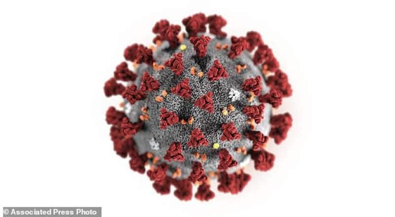 https://cdn-static.dagospia.com/img/foto/01-2020/il-coronavirus-cinese-1272585.jpg
