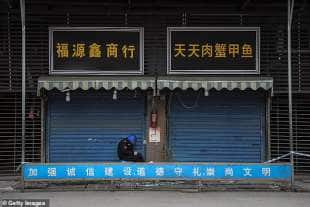 il mercato del pesce di wuhan