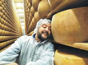 MATTEO SALVINI E LA FORMA DI PARMIGIANO