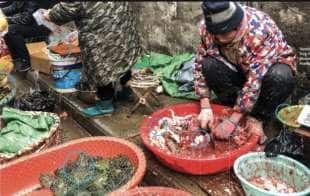 wet market cina 2