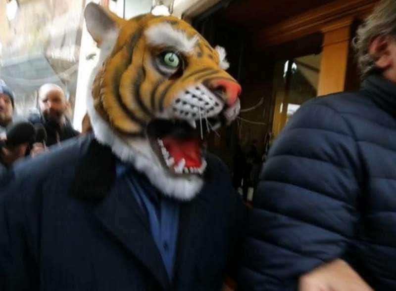 lo zoo di grillo - beppone a roma gira con la maschera da uomo tigre per  non farsi intervistare - Dagospia