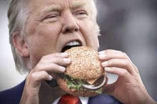 donald trump hamburger 1
