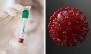 coronavirus e sangue