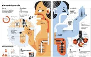 CORONAVIRUS - INFOGRAFICA DI REPUBBLICA