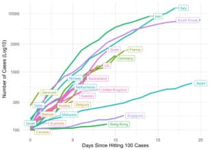 grafico logaritmico curva contagi coronavirus