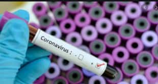 coronavirus salento