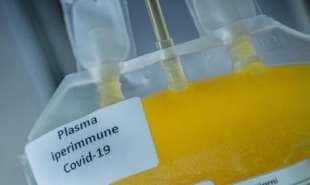 coronavirus plasma 2