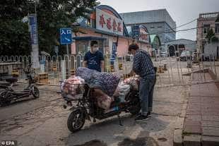 mercato xinfadi a pechino