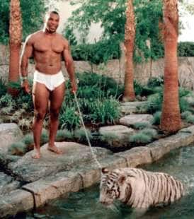 Tigre Tyson video porno gay