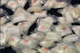 operazione nevischio sequestrati 500 kg di cocaina a genova 2