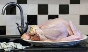 lavare il pollo 2