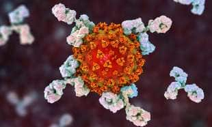 CORONAVIRUS ANTICORPI