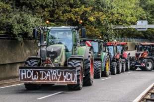 olanda proteste di allevatori e agricoltori 4