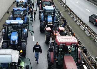 olanda proteste di allevatori e agricoltori 9