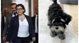 elisabetta trenta e pippo