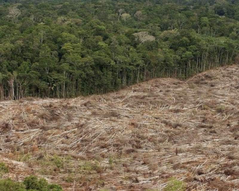 deforestazione amazzonia 6