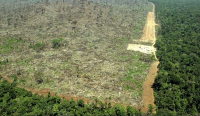 deforestazione amazzonia 7
