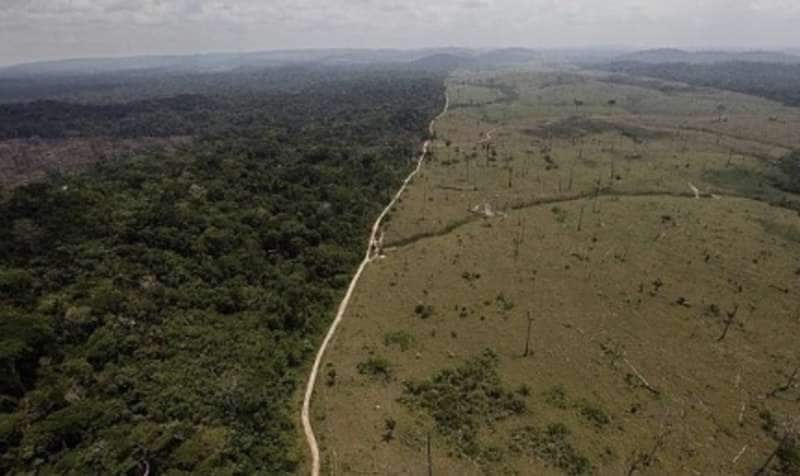 deforestazione amazzonia 9