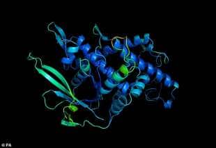deepmind e la scoperta della forma 3d della proteina