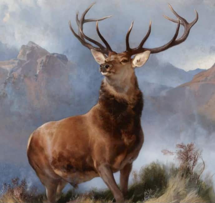 Il Cervo Reale Di Edwin Landseer In Mostra Alla National