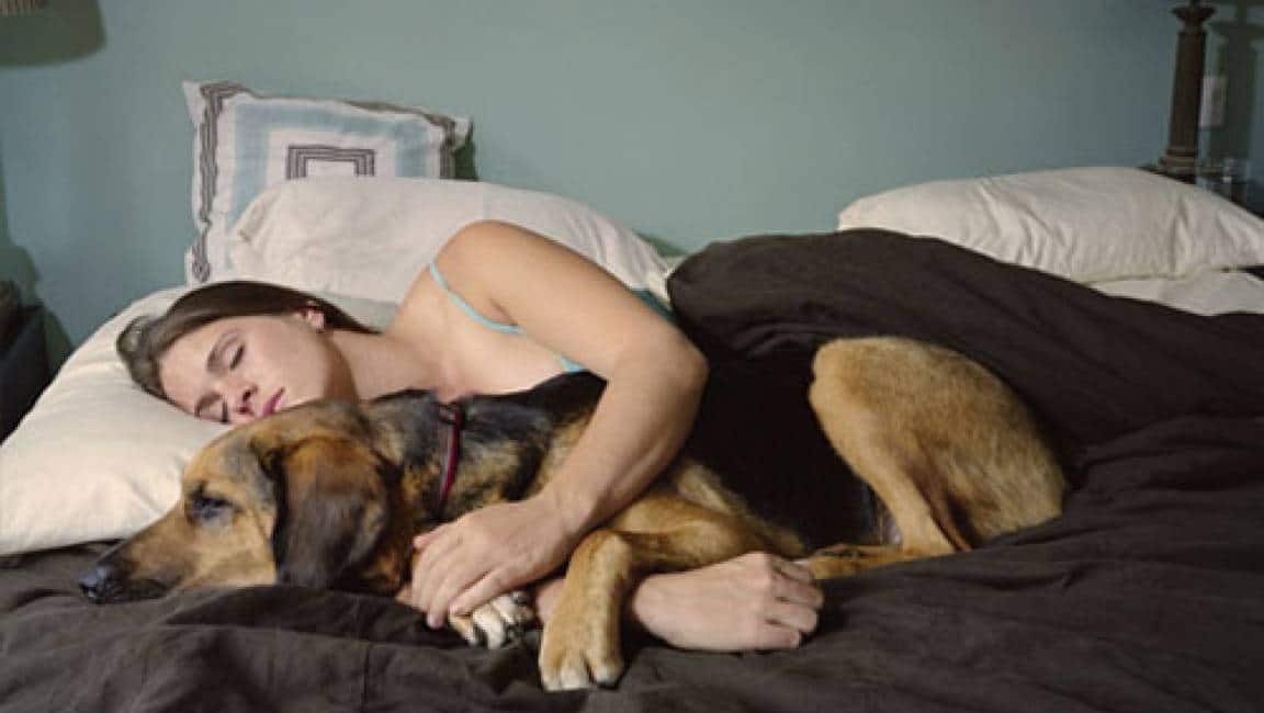 Видео зоо рассказ. Девушка с собакой. Женщина под собакой. Женщины живущие с собаками. Женщина с собакой в постели.