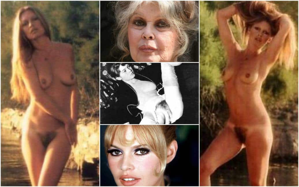 Brigitte Bardot Nude Porn.