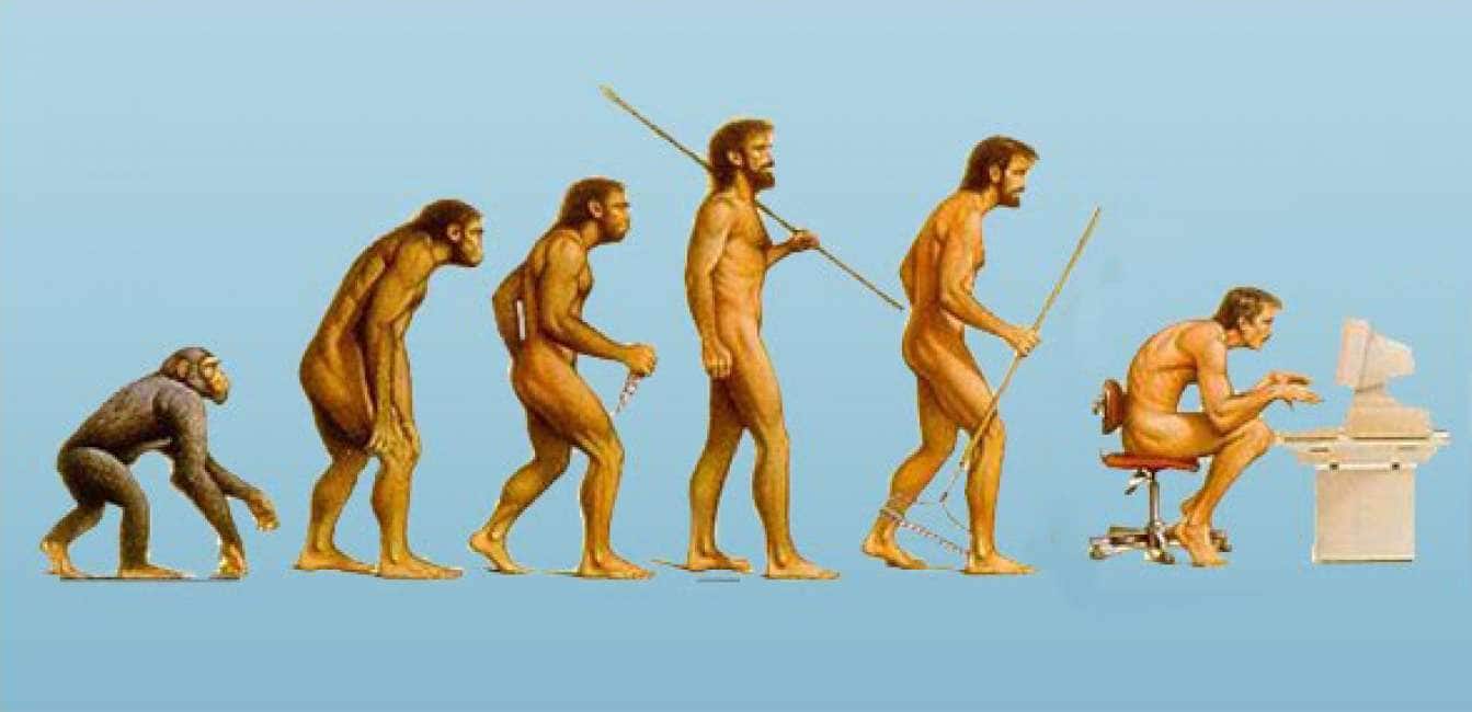 Процесс превращения человека в обезьяну. Хомо сапиенс Эволюция. Хомо сапиенс Эволюция Эволюция следующая ступень. Эволюция хомосапиенса. Эволюция из обезьяны в человека.